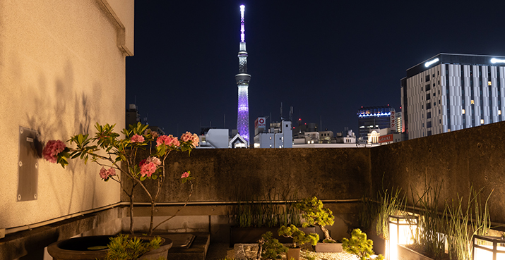 Night view from the rooftop garden