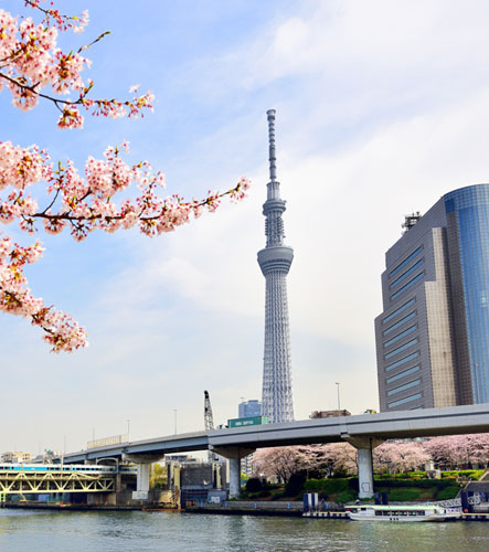 天空树